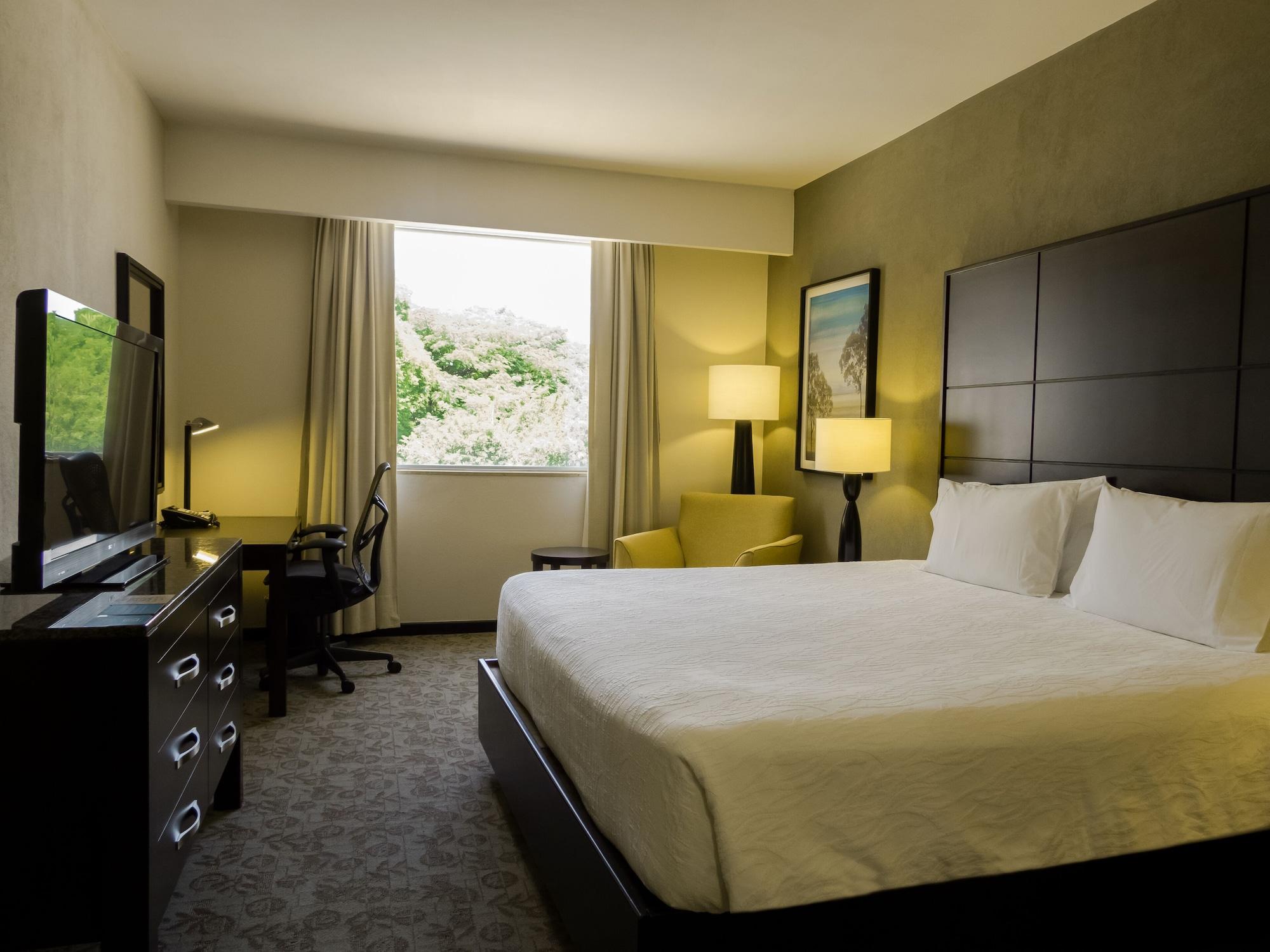 Hilton Garden Inn Tuxtla Gutierrez Tuxtla Gutiérrez Exterior foto